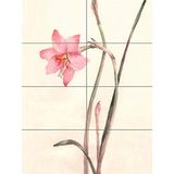 Artery8 Bloem Zephyranthes Aquarel XL Giant Paneel Poster (8 Secties)