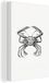 OneMillionCanvasses Canvas Print - Ernst Haeckel Crab - 40x60cm - Black and White