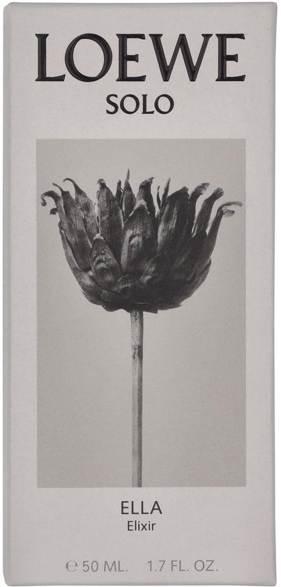 Loewe Solo / - / -