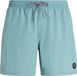 Protest Maillot de bain Homme Arctic Green