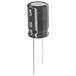 Jamicon Elektrolytische condensator Radiaal bedraad 2.5 mm 22 µF 63 V 20 % 1 stuk(s) Piece