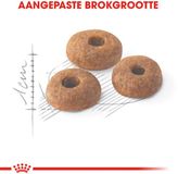 Royal Canin Fit 32 - Kattenbrokken - 4 kg