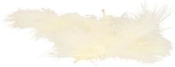 Merkloos Santex Hobby knutsel veren - 60x - creme - 7 cm