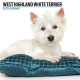 Magnet & Steel West Highland White Terrier Modern Kalender 2027 Wandkalender