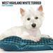 Magnet & Steel West Highland White Terrier Modern Kalender 2027 Wandkalender
