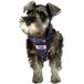 XT-Dog DA7530 hondenharnas, gevoerd, maat M, 36-40 x 44-48 cm