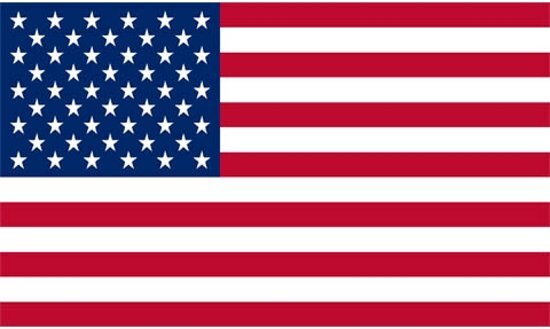 Fostex Vlag USA / Amerikaanse vlag 90 x 150