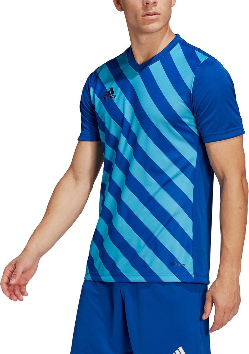 Adidas Ent22 GFX JSY Jersey voor heren