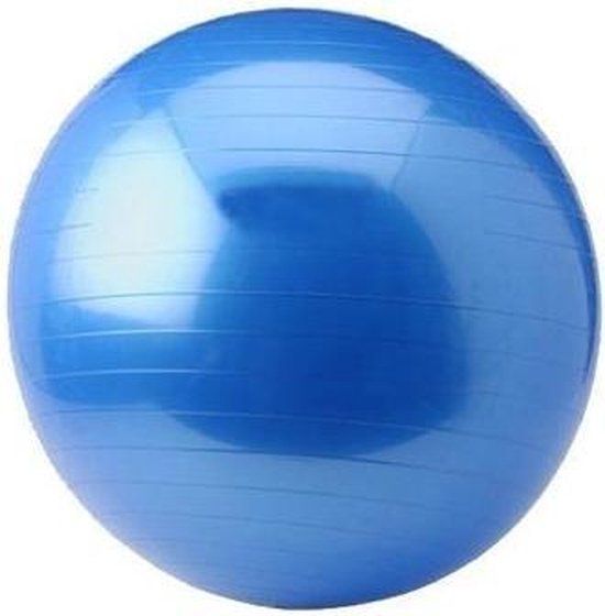 Focus Fitness Yoga Bal - 55 cm - Paars