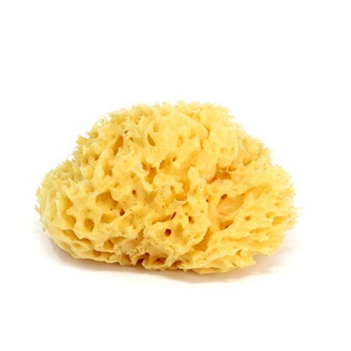 OK Baby Honeycomb spons- Natuurlijke spons uit de Middellandse Zee voor baby's badje, ultra zacht, ideaal voor de delicate huid - maat 10