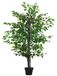 Arbre à chat - Tour d'escalade avec 5 niveaux - Hauteur 1,45 mètre - Poteaux à gratter et plateformes de repos - Convient pour un usage intérieur - Vert olive