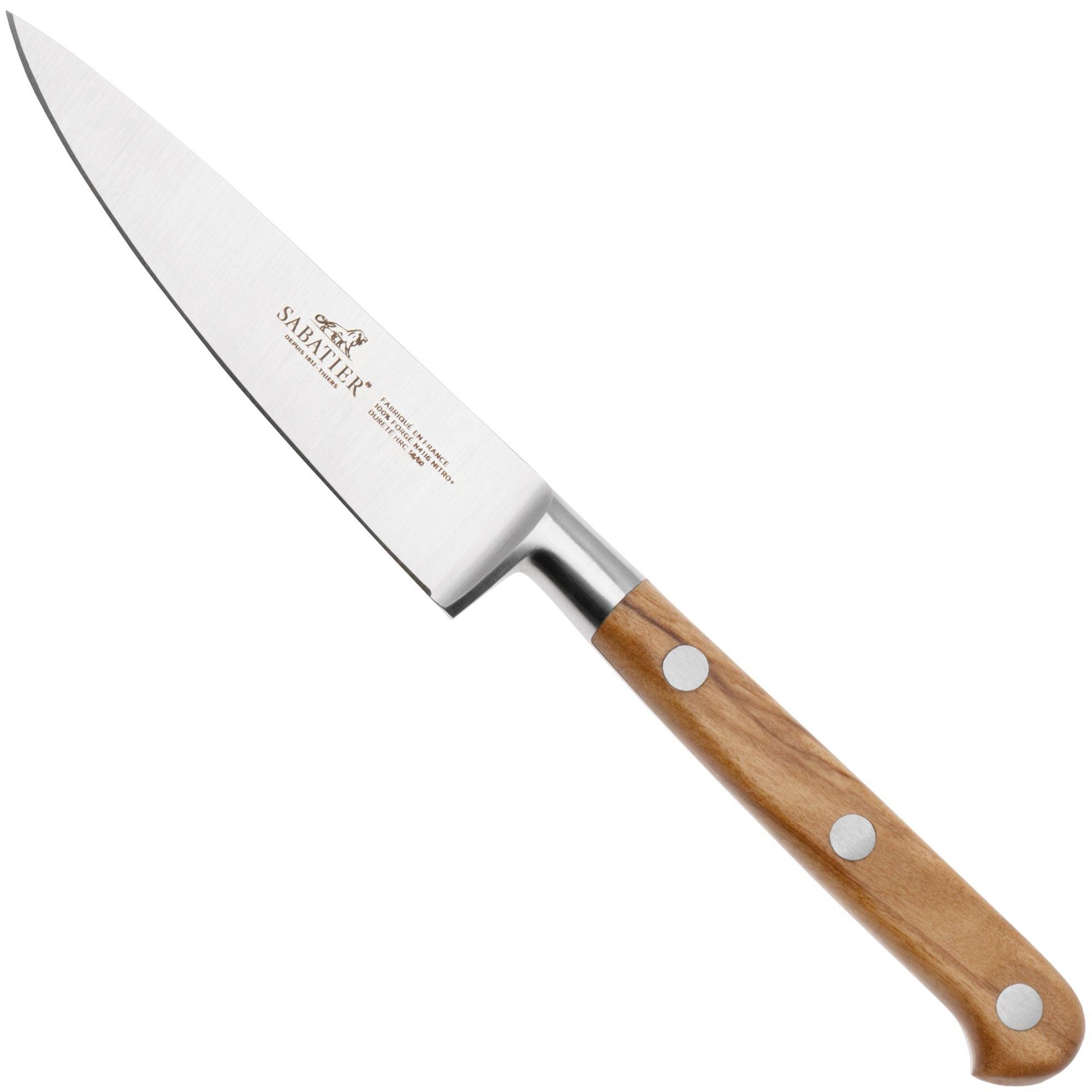 Lion Sabatier Idéal Provençao - Officemes - 10 cm