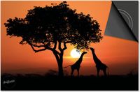 Dietrix Inductie Beschermer - 65x52cm - Giraffes Zonsondergang Afrika