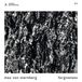 PIAS Nederland Max Von Sternberg Forgiveness EP (12" Single)