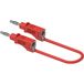 Electro PJP 2111-CD1-25R Câble de raccordement 25 cm Rouge 1 pièce(s)