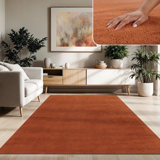 Paco Home Moderne woonkamer tapijt kortpolig wasbaar zacht uni effect bont antislip 240x340 cm