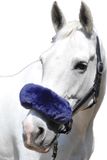 HKM Neus-/kopstukbontje Lamsvel Donkerblauw
