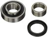 IPS Parts IUB-10613 Wiellagerset achter