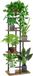 Non-branded 5-layer wooden flower stand - plant stand for indoor and outdoor - garden, balcony decoration