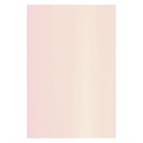 Netuno - Aster Metallic Candy Pink Gold - A4 - 120 gram - 10 vellen