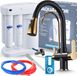 Aquaphor Robinet de cuisine Aquaphor Morion avec filtre à osmose inverse, douchette extractible et bec pivotant en laiton, noir et or