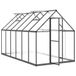Aluminium serre avec cadre de base 334x169x195 cm couleur anthracite