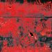 Concrete Winds - Concrete Winds (LP, Rood/Zwart)