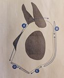 Shires Vliegenmasker met oren en neus - Jet Black - Full