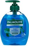 Palmolive Handzeep Met Pomp Eucalyptus 300ml