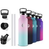 Grsta Thermosfles, 500 ml, BPA-vrij, drinkfles met rietje, lekvrij, kinderfles, houdt 12 uur warm / 24 uur koud, thermos voor school, camping, kantoor, koffie