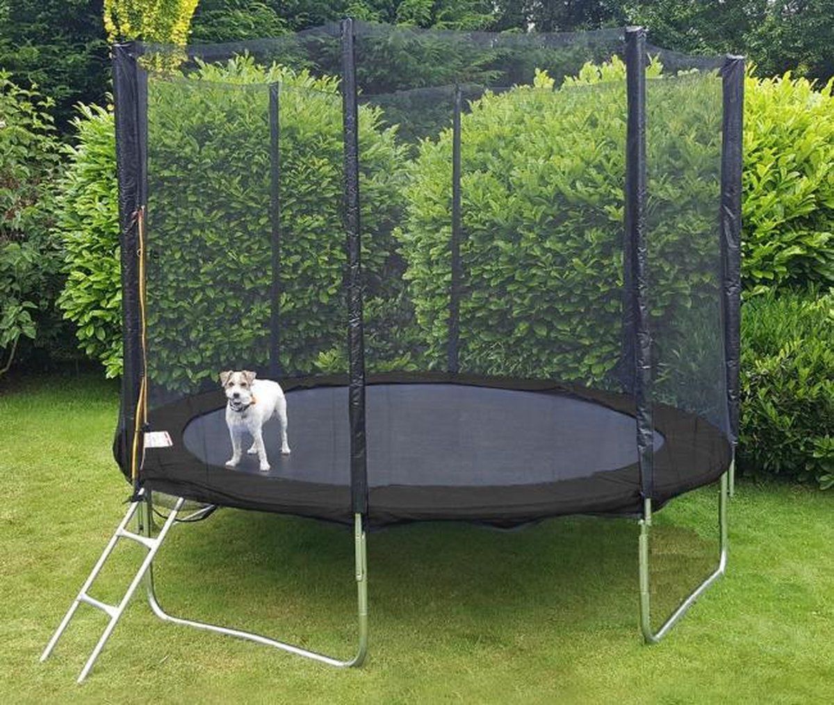 Viking Sports Trampoline 305 cm zwart - met veiligheidsnet & ladder - tot 120 kg