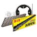 Kettingset DID Kettingset staal 520VX3 / 94 klinkslot voor Polaris Predator Troy Lee E LE 500 cc