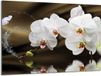 TMK ArtDeko Planche à découper Verre 40x30cm Fleurs
