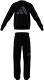 Adidas Essentials Jogger Set Zwart 15-16 Years Kinderen