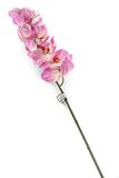 Floral Elegance Kunstmatig Dozen Lila