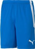 Puma Teamliga Short Heren - Royal