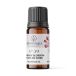 Light Candel Art Huile parfumée, Nr. 39, Fleur de cerisier, 10 ml