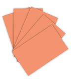 Folia Fotokarton A4 300g/m² zalm, 50 vel