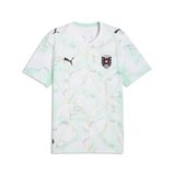 PUMA Oostenrijk 2026 uitshirt voor heren
