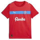 PUMA Functioneel shirt ' Holstein Kiel 25/26' blauw / rood / wit