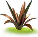 Wan GmbH Agave métallique - Sculpture de jardin - Décoration extérieure - Construction épaissie - Grand format - Couleur rouille
