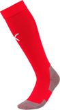 Puma Teamliga Voetbalkousen - Rood | Maat: 47-49