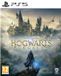 Warner Bros. Games Hogwarts Legacy Standard Edition PlayStation 5