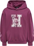 Hummel kinderhoodie Hmlastrology 214573 Beige Katoen