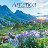 America Brown Trout America 2027 7 X 14 Inch (Hanging) Monthly Mini Wall Calendar