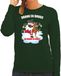 Bellatio Decorations Foute Kerst sweater / kersttrui Drank en drugs groen voor dames - Kerstkleding / Christmas outfit XS