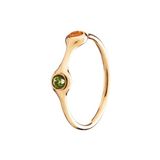 Pandora Damesring 18k Gold 970108MX2