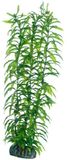 Hobby Heteranthera, 34 cm