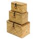 FEILANDUO Plankmanden met deksel, set van 3 handgeweven zeegras opbergdoos rieten mand desktop make-up organizer multifunctionele container (origineel (S/M/L)