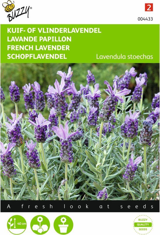 Buzzy Zaden - Vlinderlavendel (Lavandula stoechas)